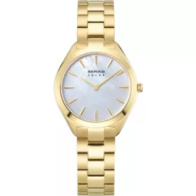 BERING Classic Solar 17331-734
